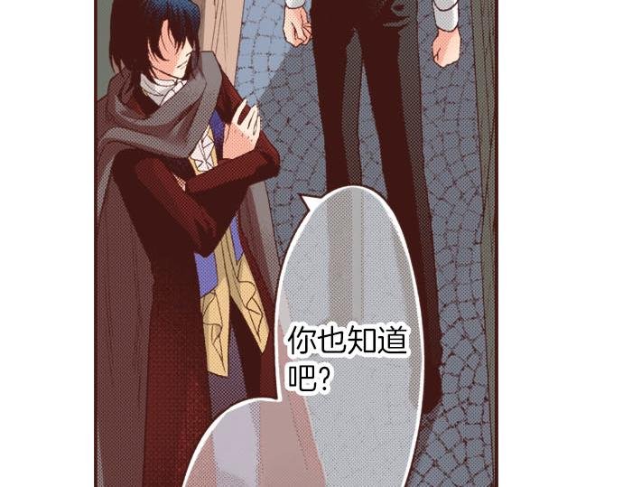 第21话 公平竞争