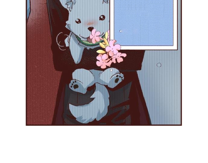 第24话 忠犬上线！