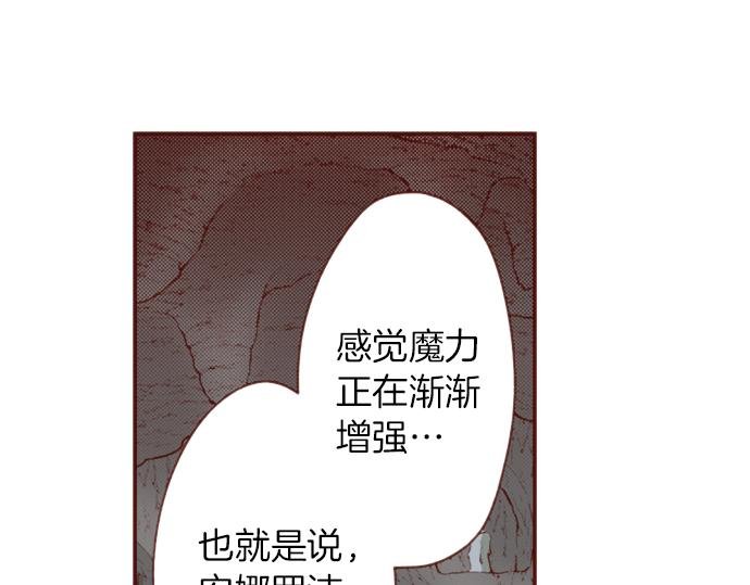 第49话 真面目