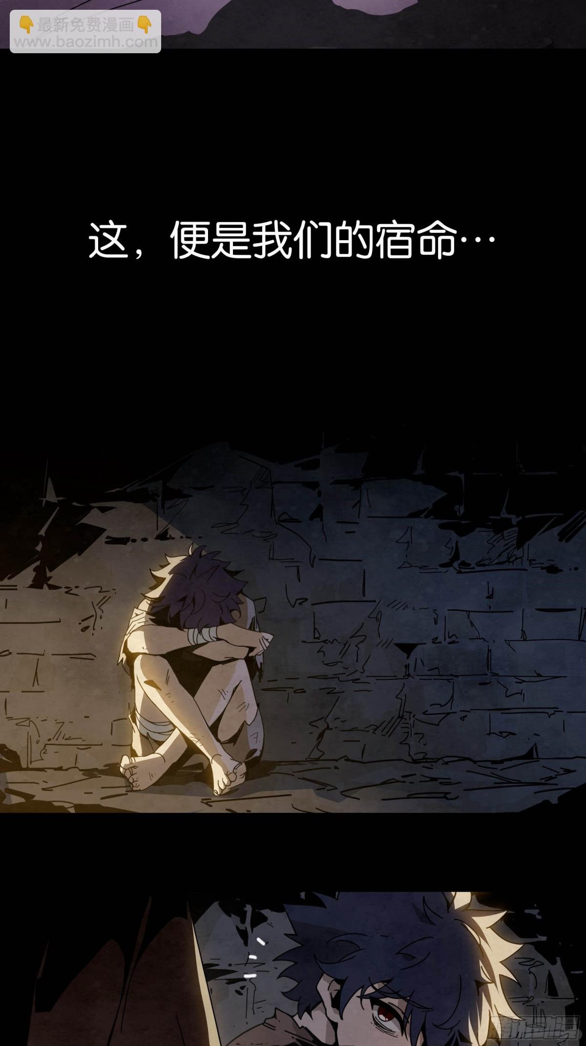 弱肉强食的世界