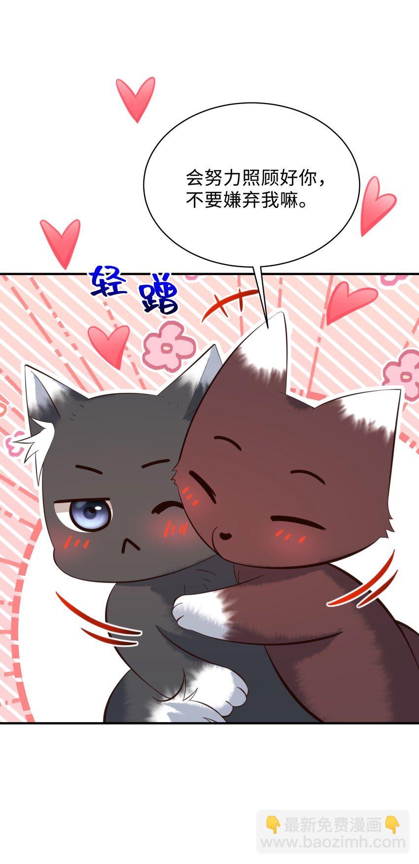 041 打几分？
