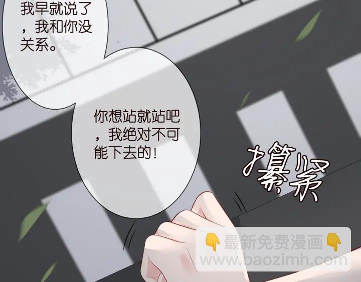 第255 特殊的日子