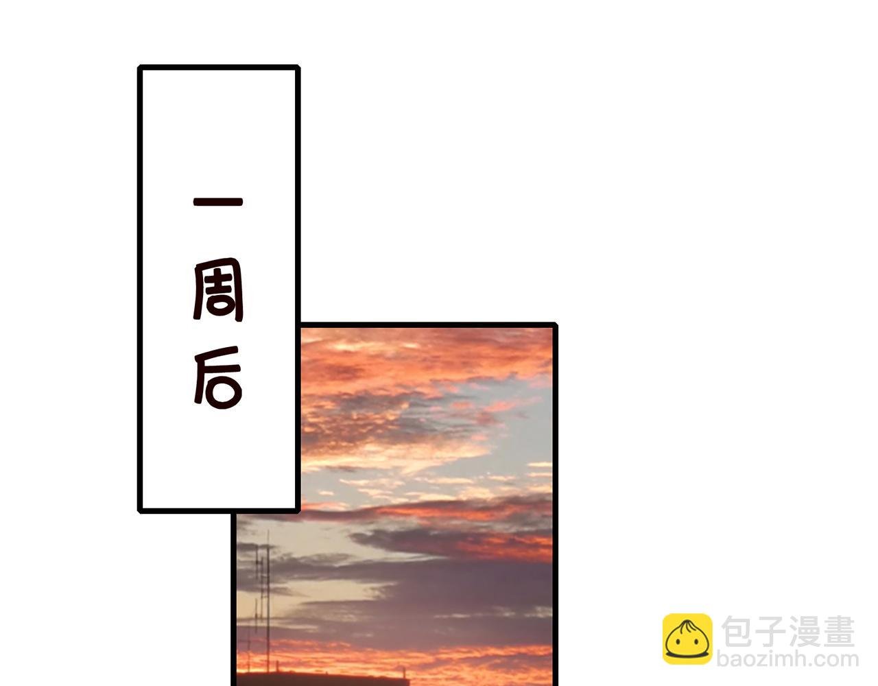 第269 可可，对不起