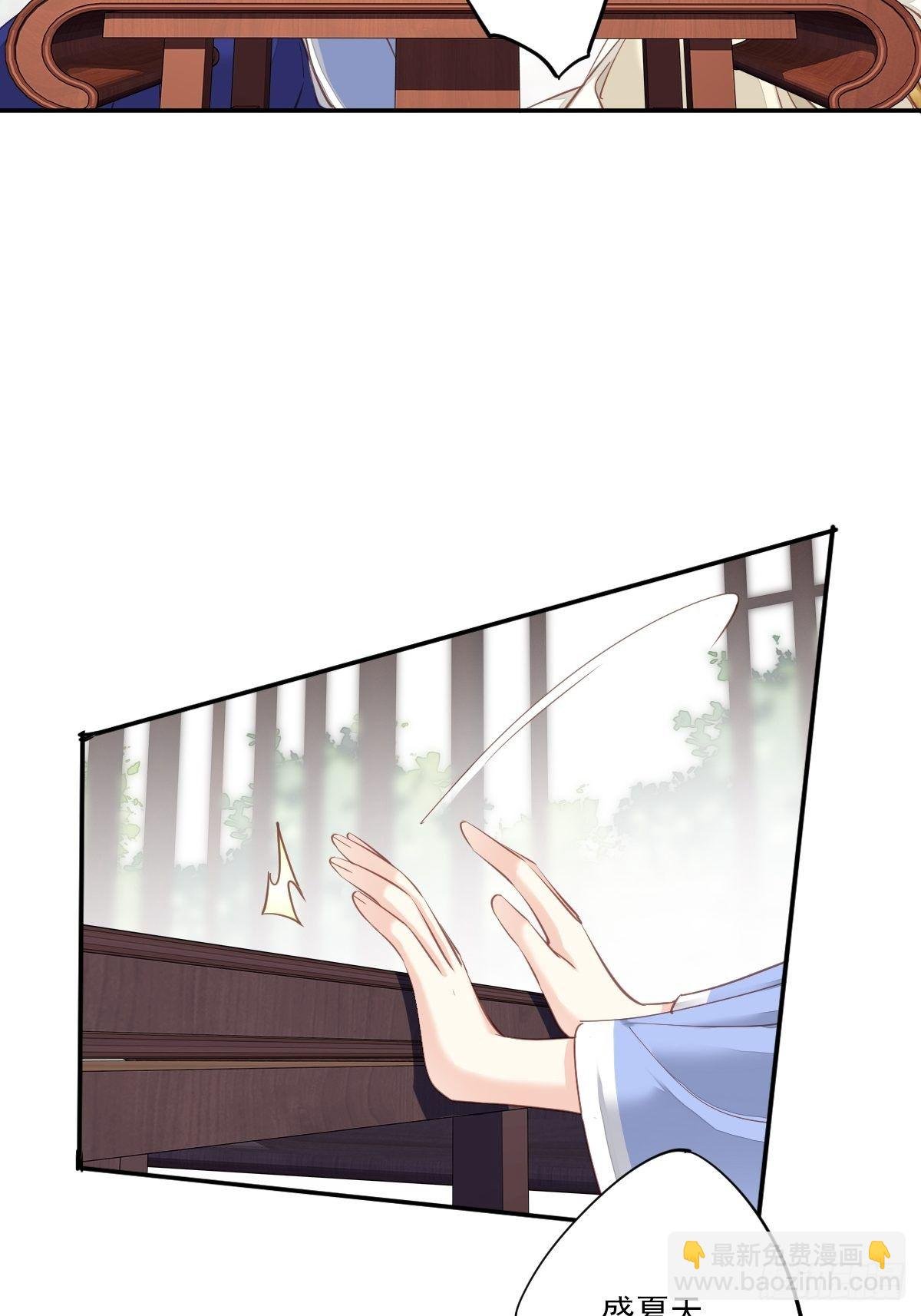第37话 薇薇，你想选谁？