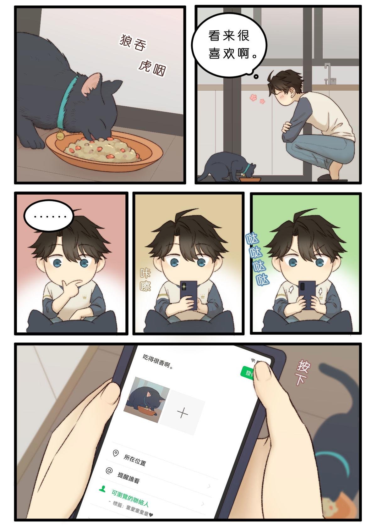 10.发张猫照看一看|・ω・U)