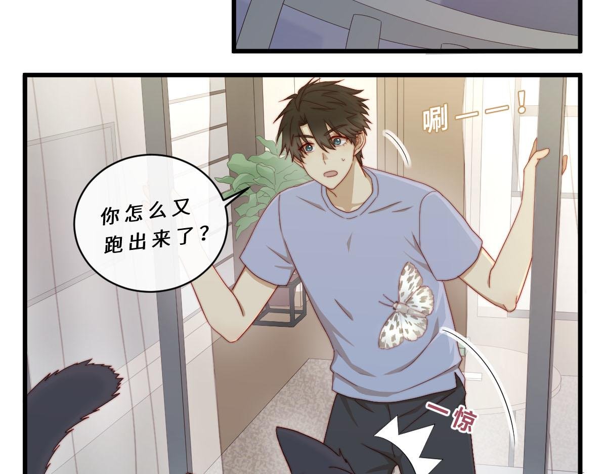 29.掉，掉喵啦！（^⊙▃⊙^)