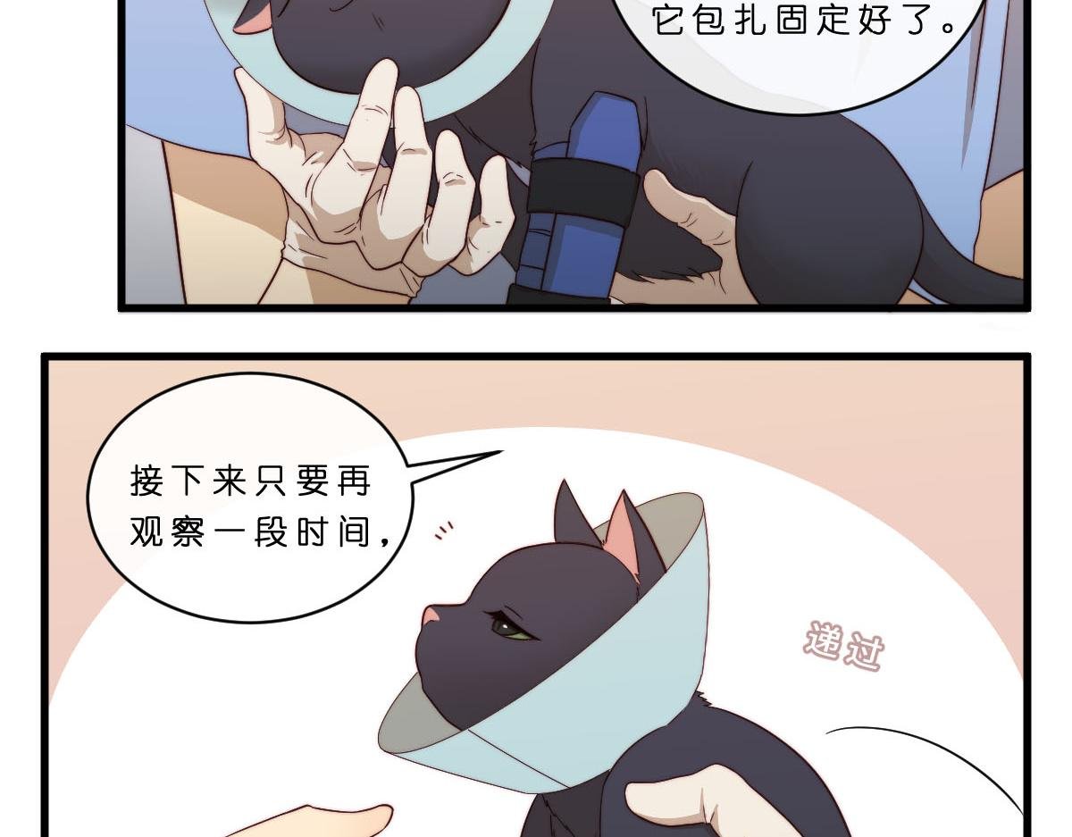 30.各伤一爪