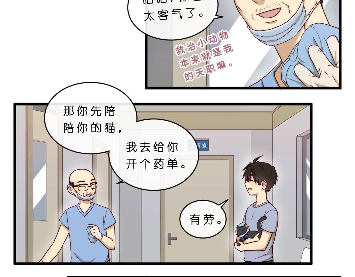 30.各伤一爪