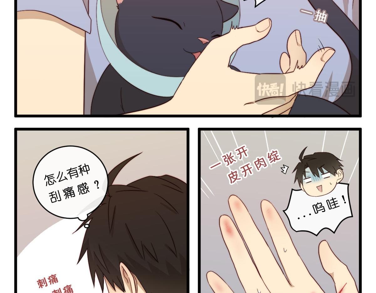 30.各伤一爪
