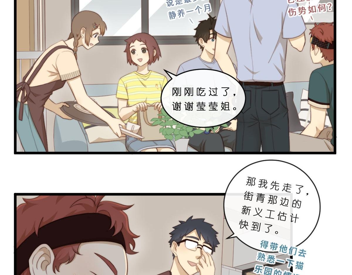 34.表哥家与猫