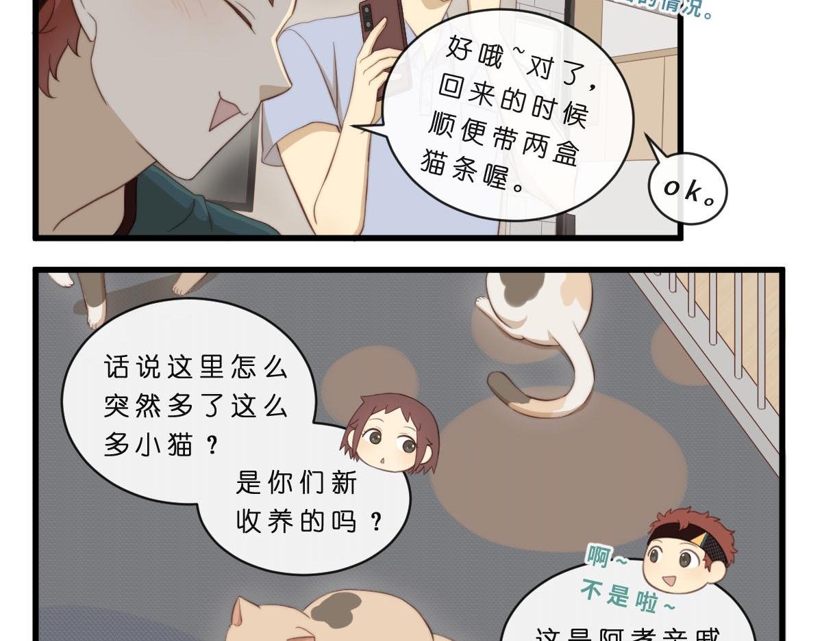 34.表哥家与猫