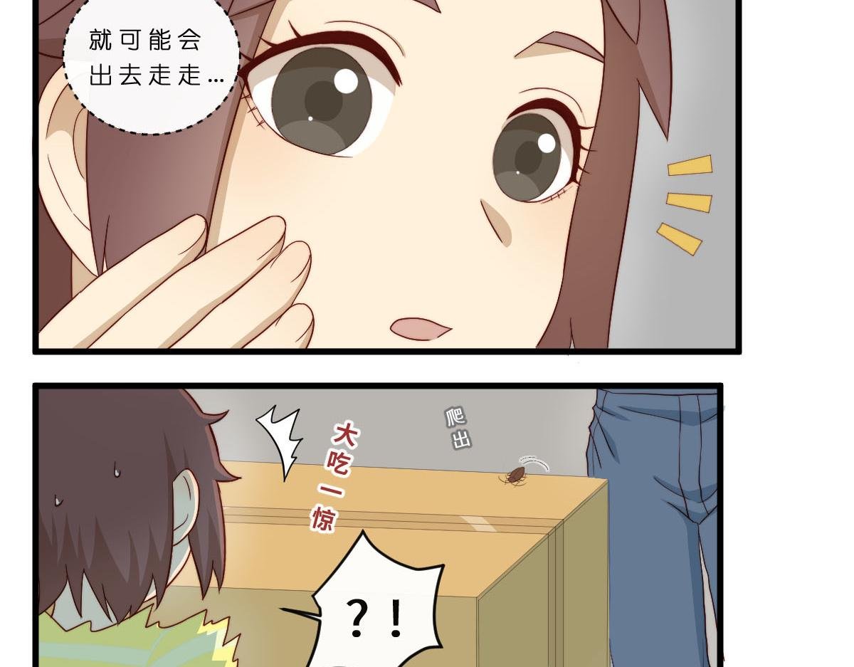 36.软柿子？
