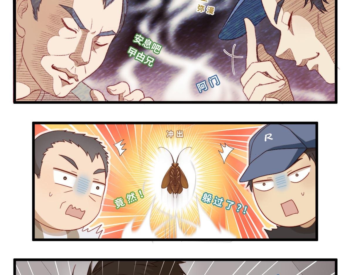 36.软柿子？