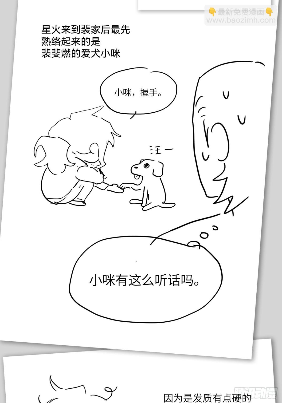 设定-13位角色设定流出