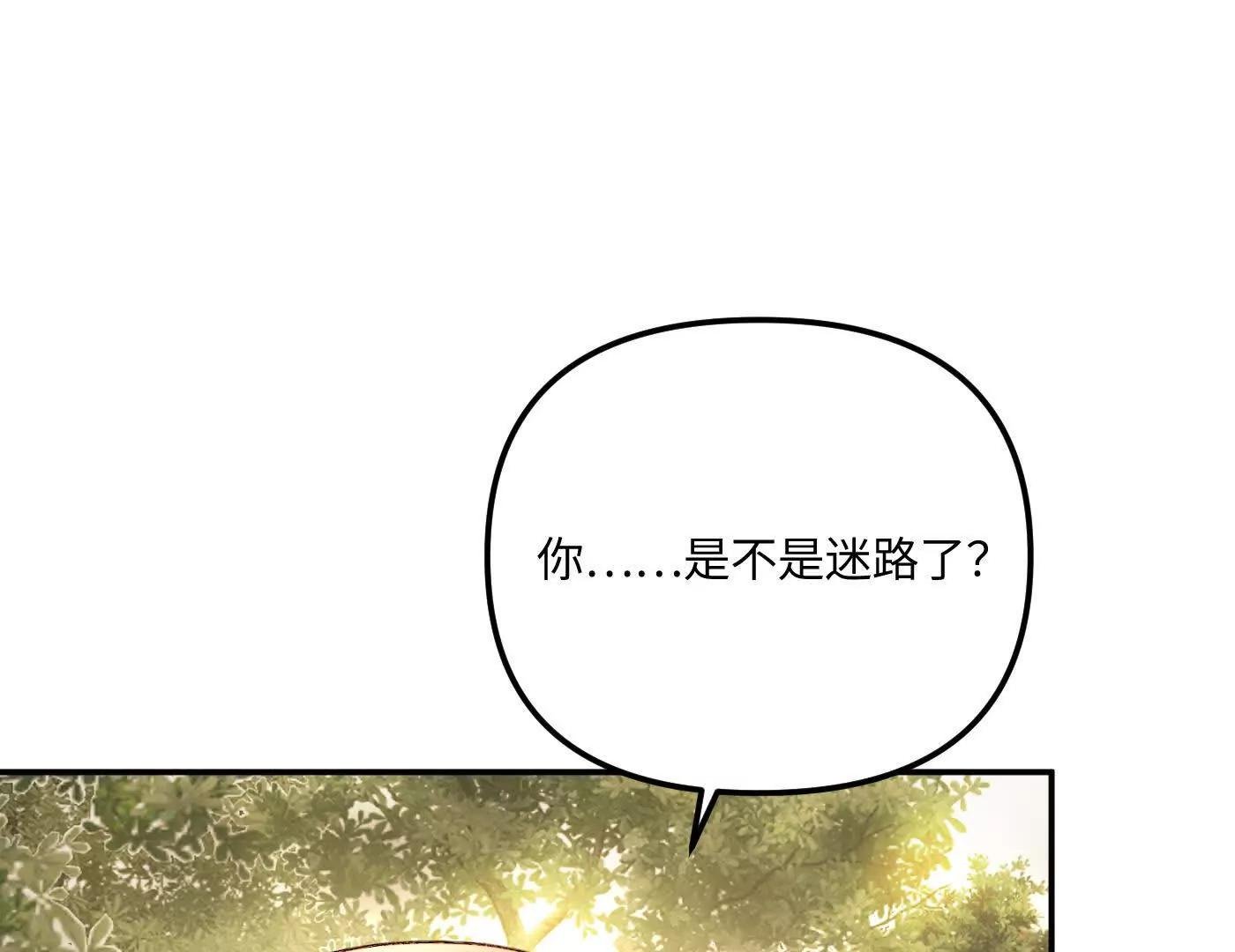 他回来了（下）