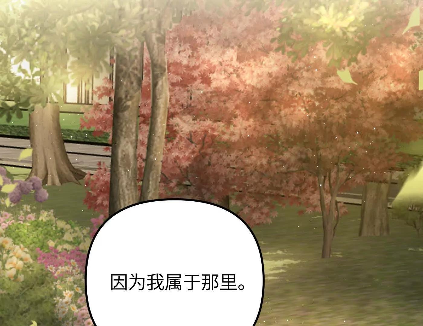 他回来了（下）