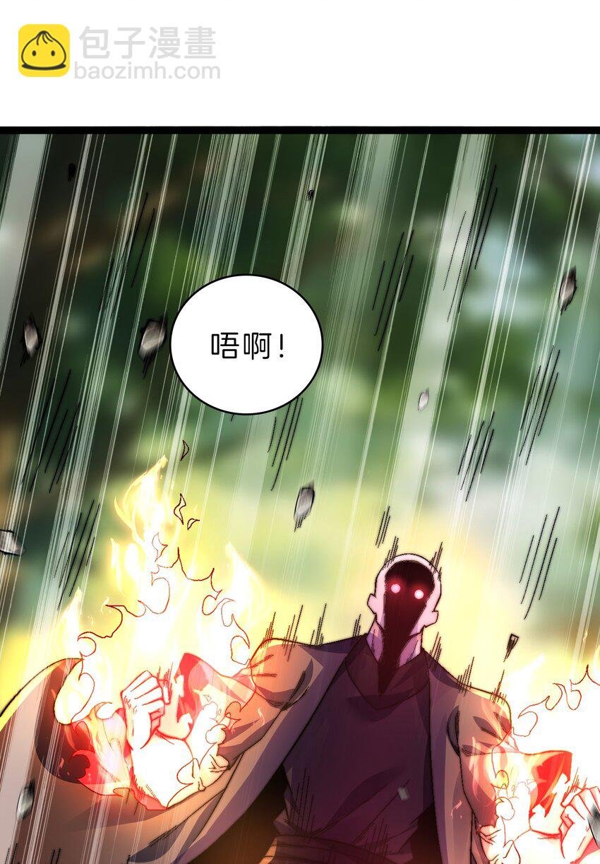 39 驴子出击