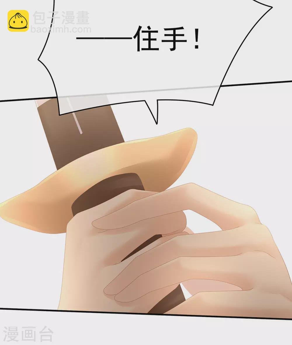 第199话 宁王夫要换人？
