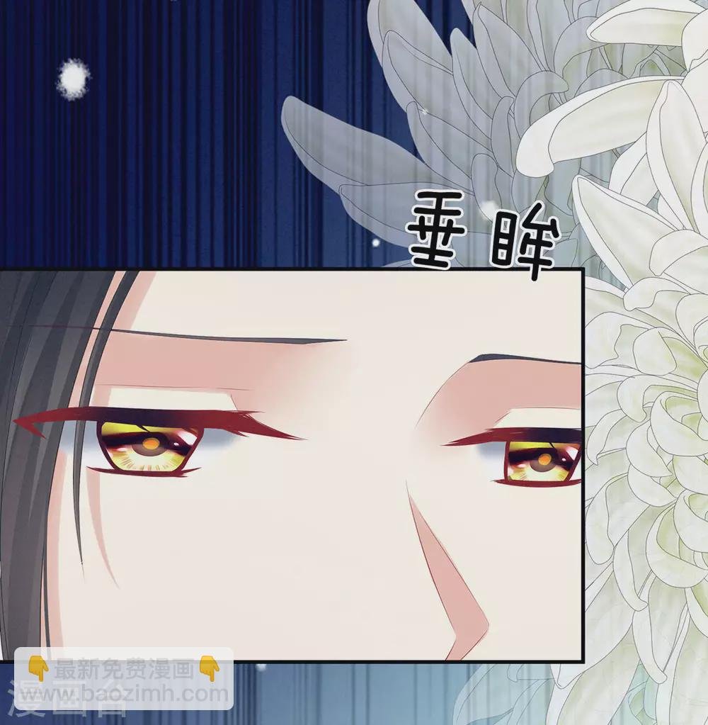 第205话 她不是我的妻主