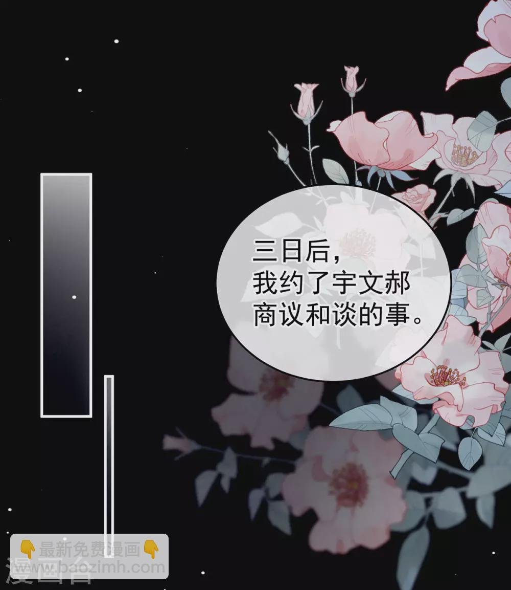 第219话 不会太大，也不会太小