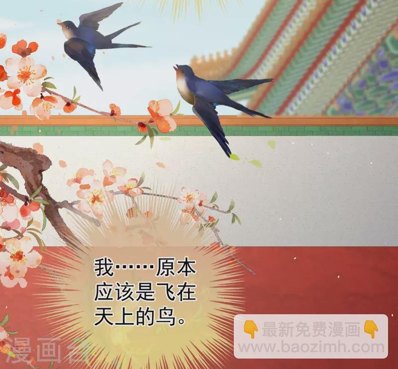 第341话 笼中鸟