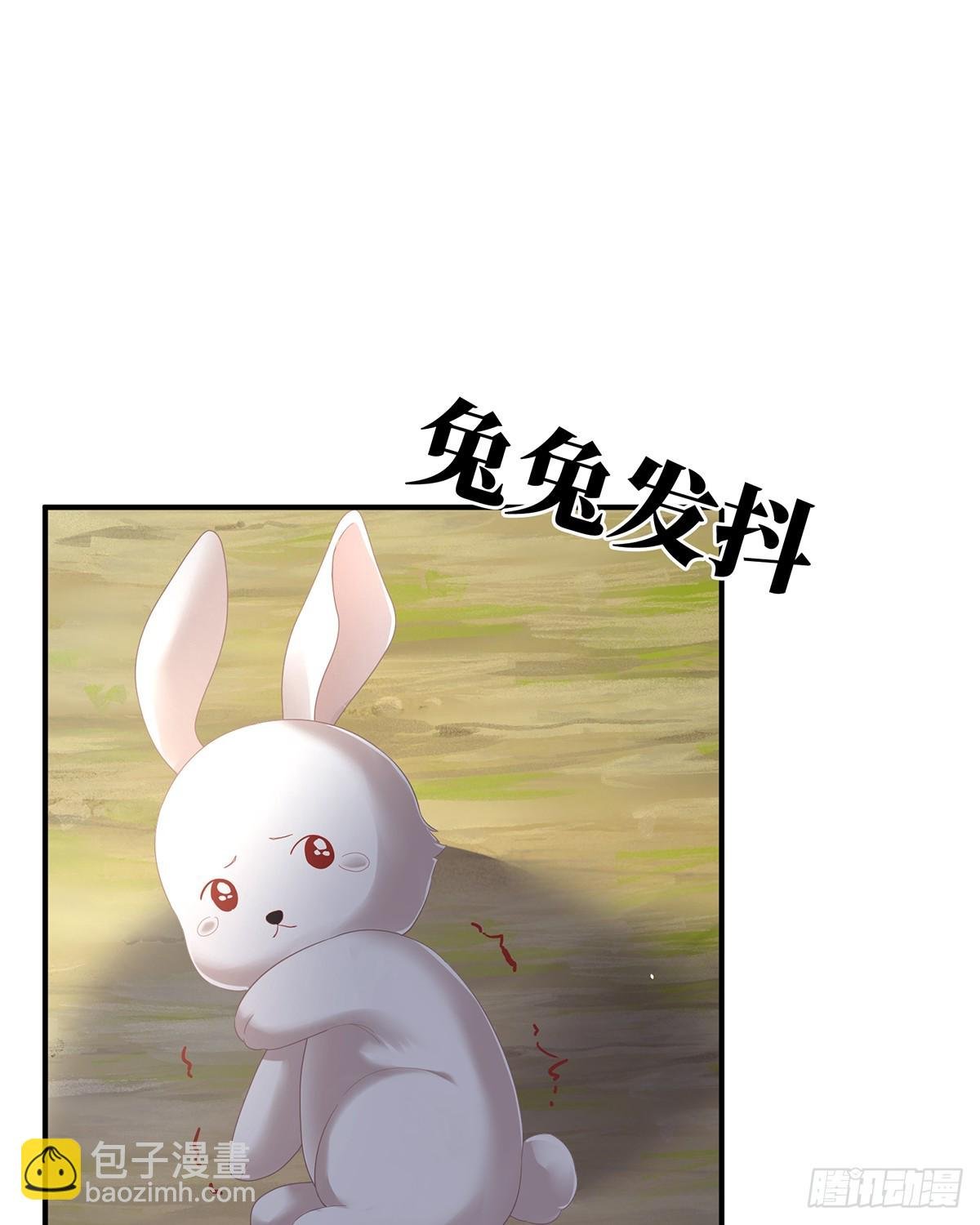 特别的参赛选手