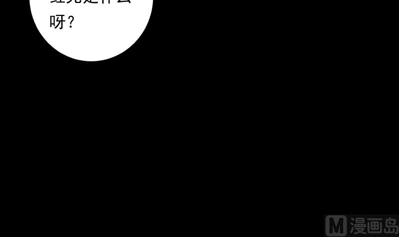 第67话 元神