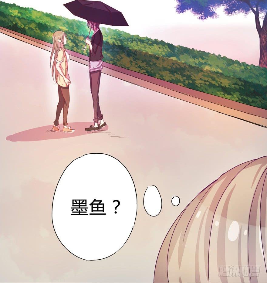 听说墨鱼交了男朋友
