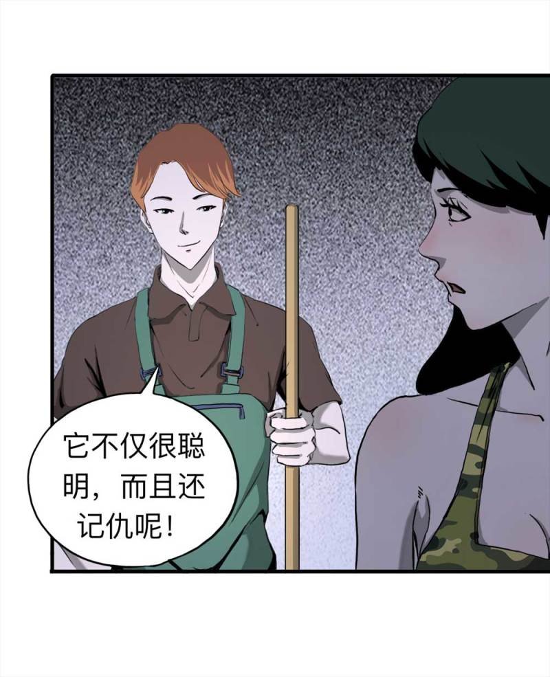 091-甜蜜岛（上）