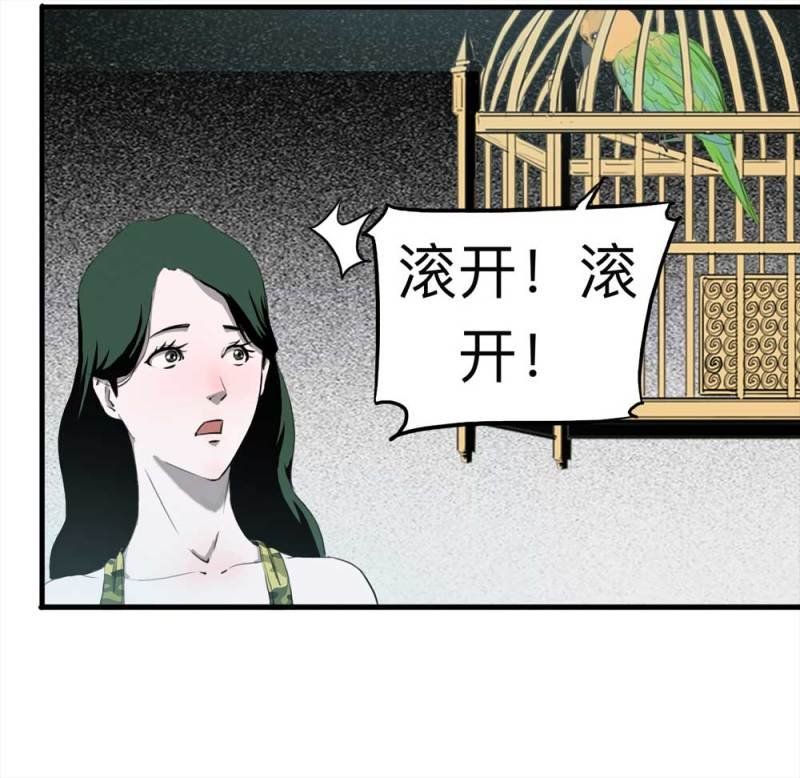 091-甜蜜岛（上）