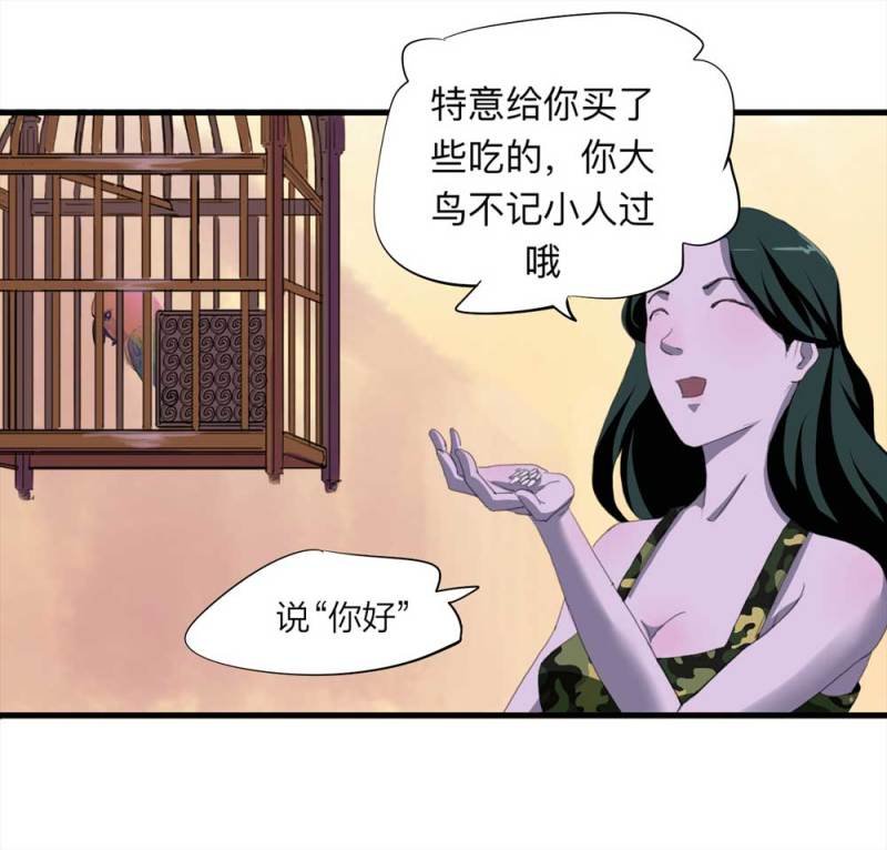 092-甜蜜岛（中）