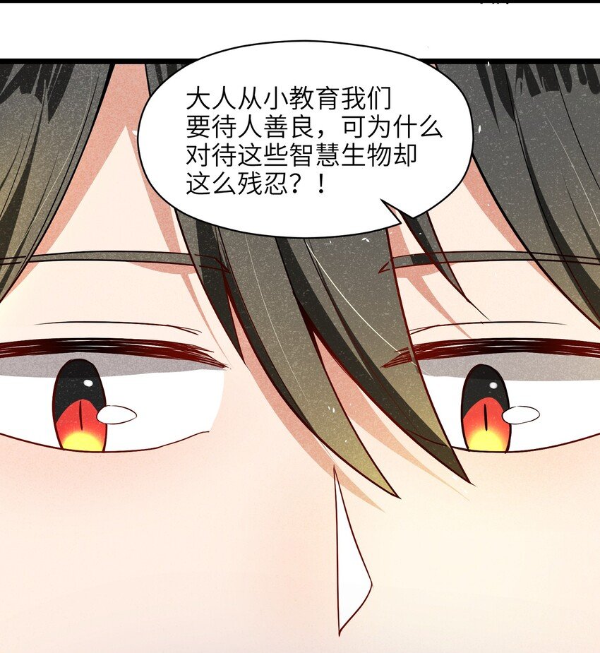 004 是时候取回你们曾经的荣光了