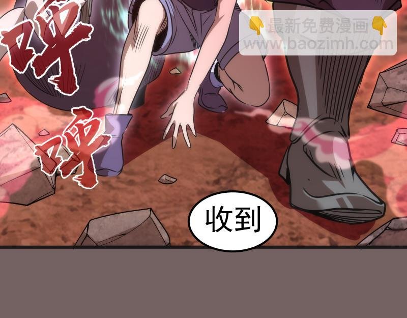第193话 紫彩斑斓