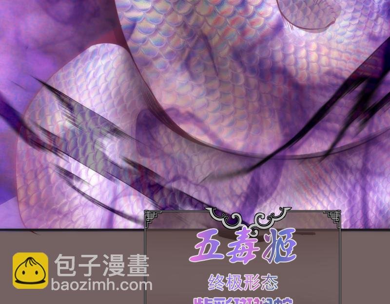 第193话 紫彩斑斓