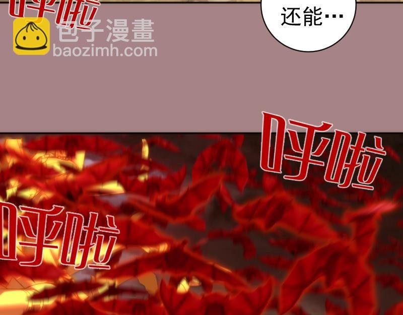 第204话 基德vs米拉黛丝