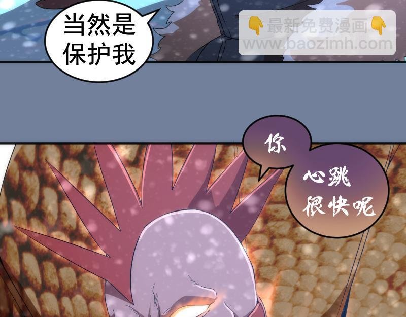 219 神秘陨石