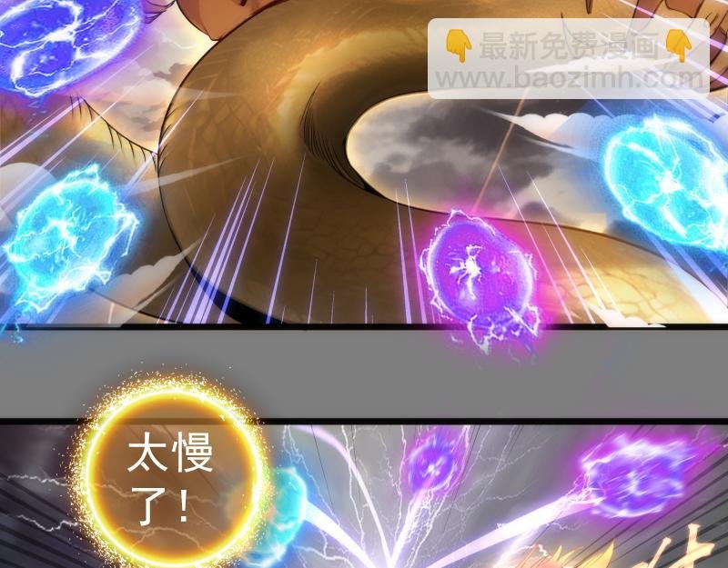 第275话 后山密林