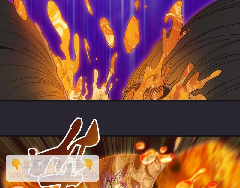 第313话 紫莹VS琥珀