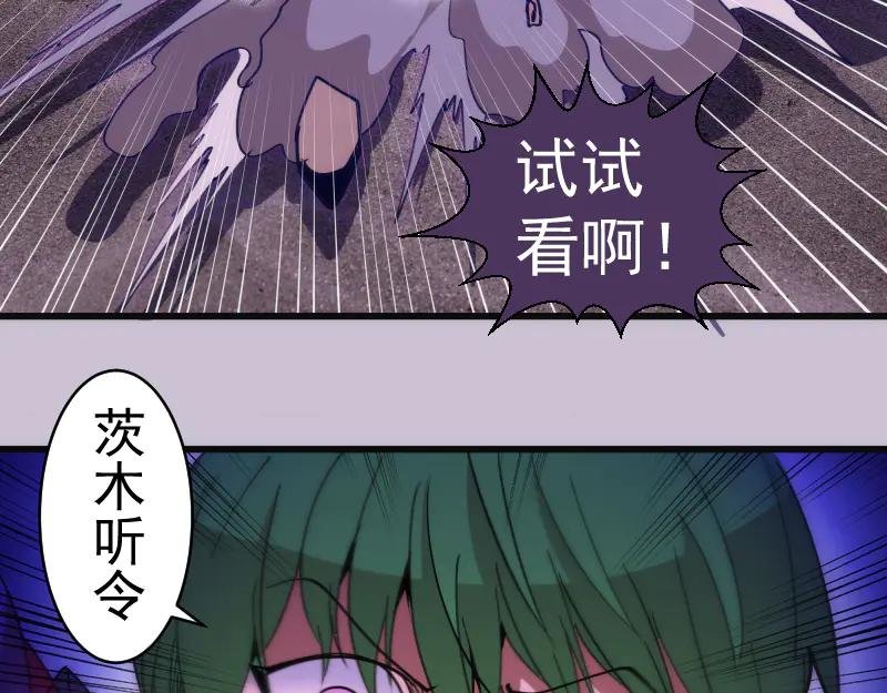 第335话 式神升级