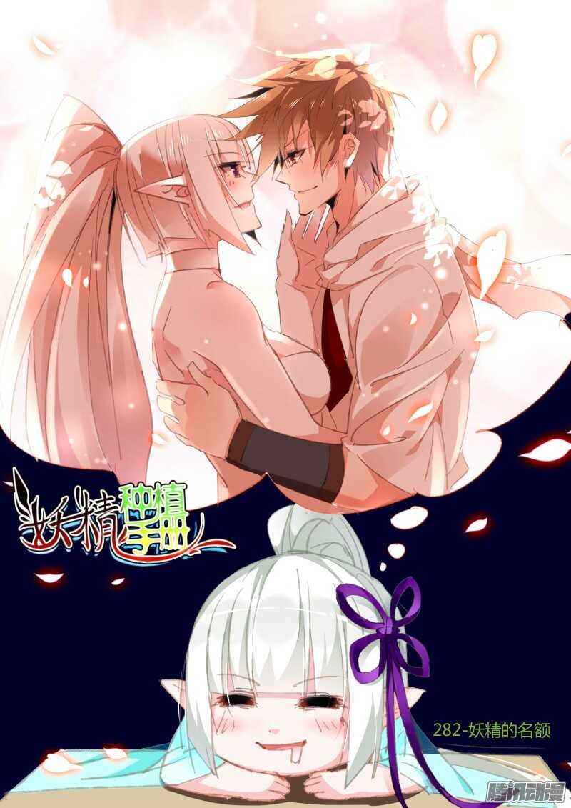 282-妖精的名额