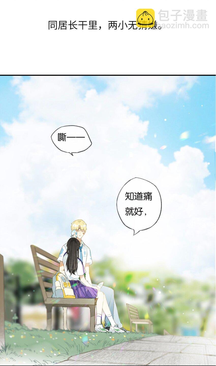 特别企划 榴花不及春一周年特别企划