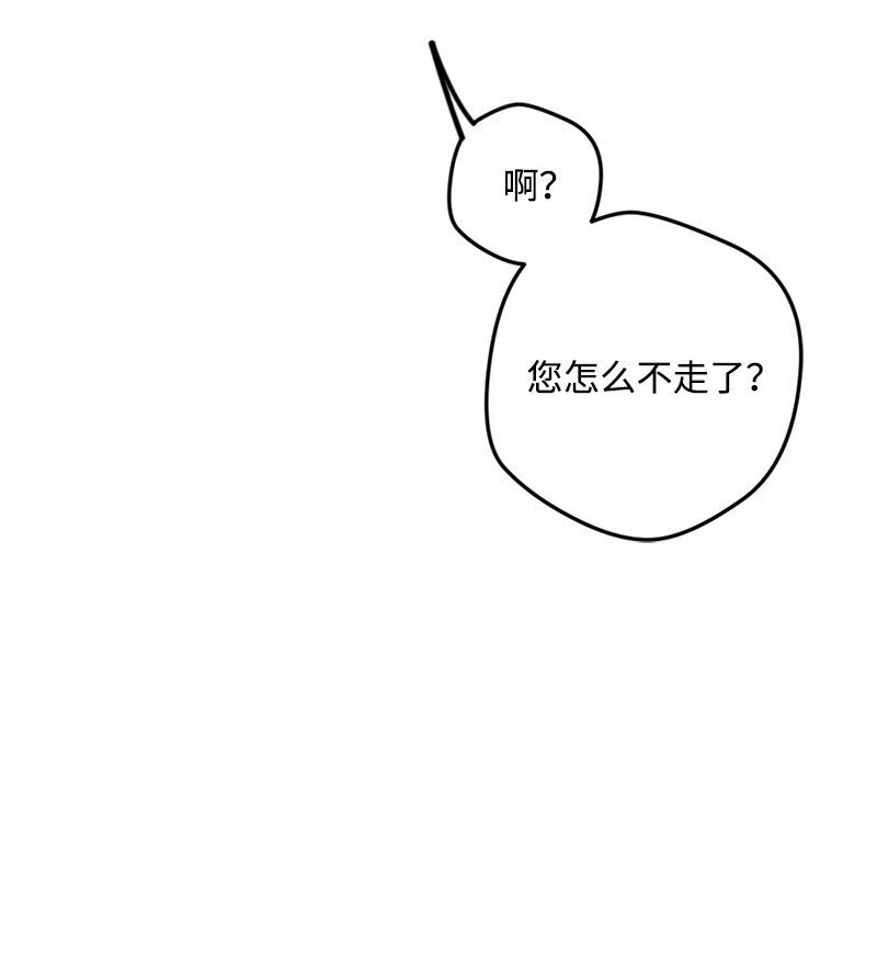05 到访莱顿街