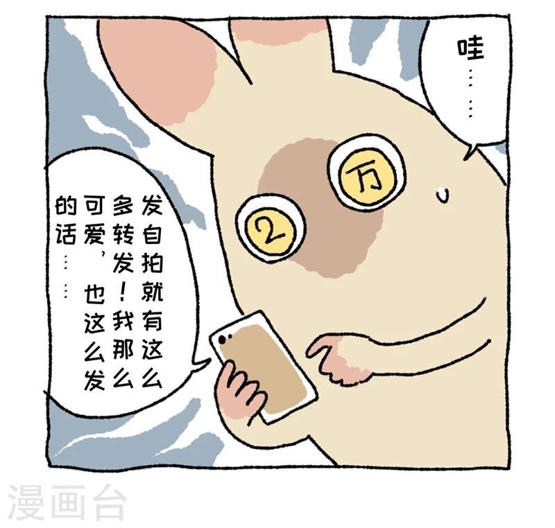 第1话 不切登场