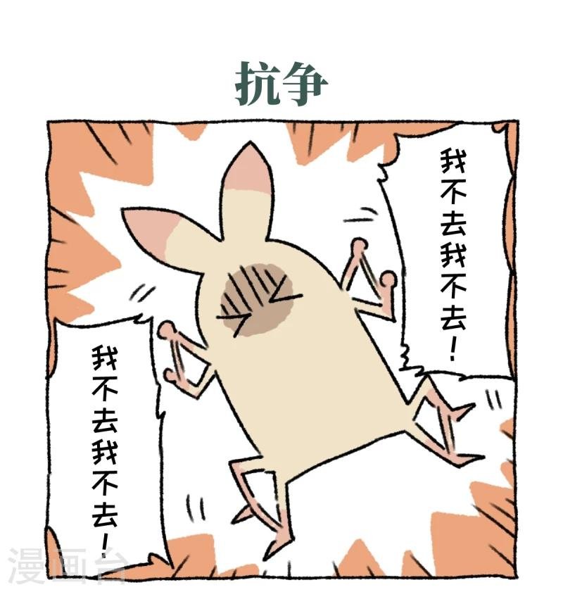 第3话 相亲