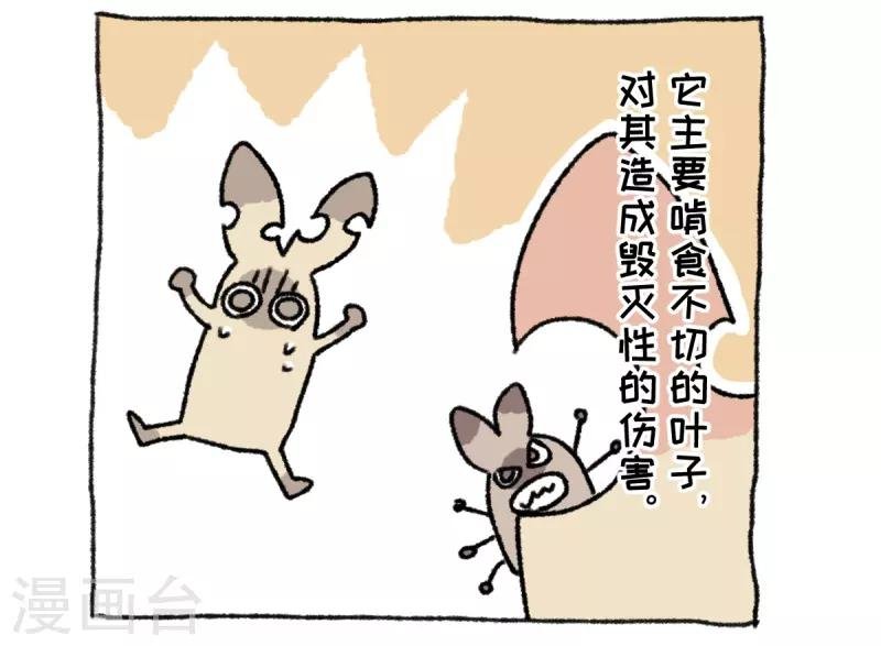 第36话 关于不切