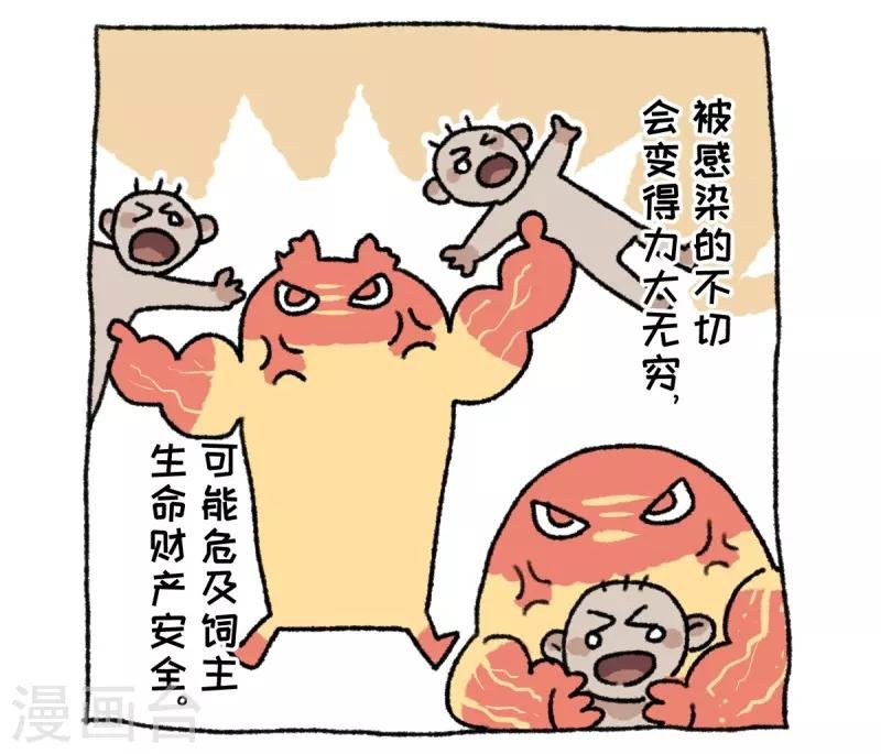 第36话 关于不切