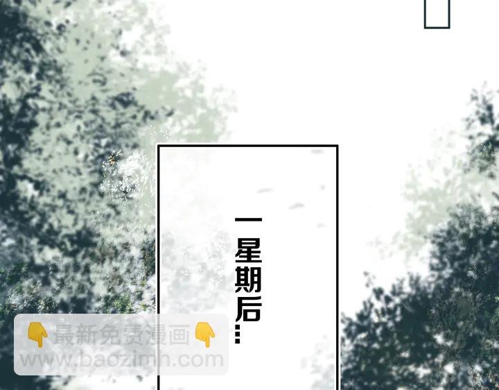 第40话 来吧！正面钢！