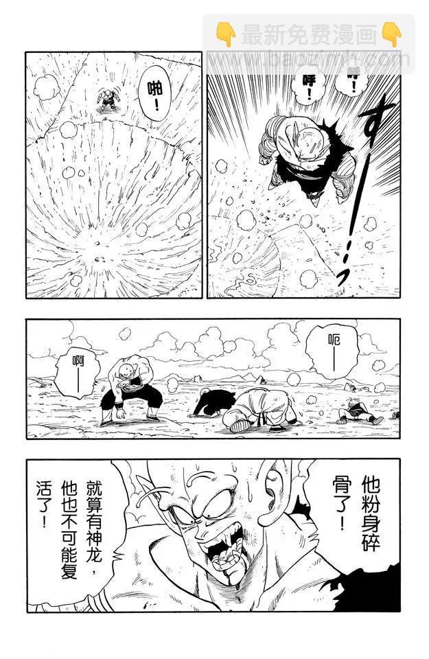 第193话 天下第一武道会的高潮