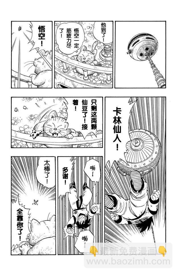 第220话 一线希望