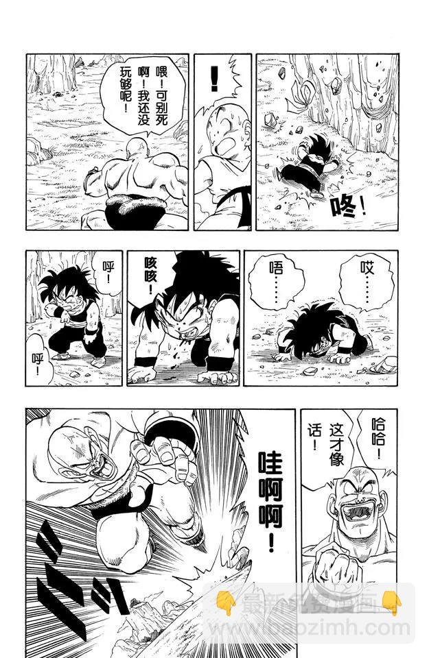 第221话 老鼠急了也会咬猫